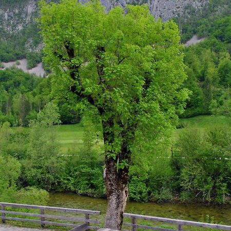 Riverside Village Apartment Bohinj Zewnętrze zdjęcie